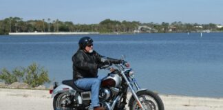 2014 Harley-Davidson FXDL Low Rider