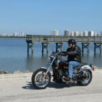 2014 Harley-Davidson FXDL Low Rider