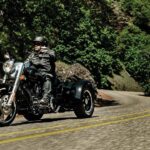 2015 Harley-Davidson Freewheeler