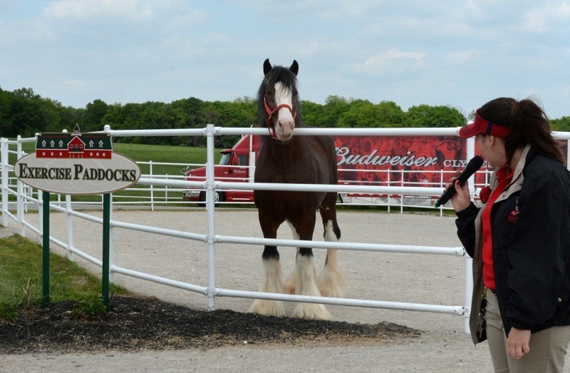 Warm Springs Ranch