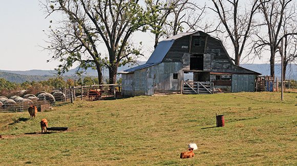This pleasant farm typifies rural Arkansas.
