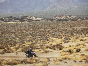 Riding the KTM 1190 Adventure R near Pahrump, Nevada. (Photo by Dave Wachs)