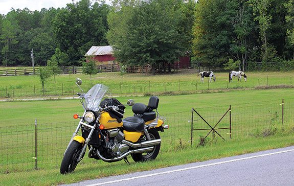 A ride into the backcountry of South Carolina’s Coastal Plain traverses miles of therapeutic scenery, including bucolic homesteads, pastures and grazing livestock.