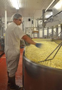 Large windows allow visitors to watch cheese production. Here, the curds are being salted.