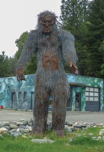 Local from Happy Camp, California. Only Sasquatch we saw. 