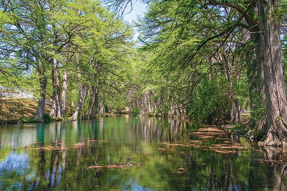 Cypress trees line the Guadalupe River, which frequently crosses County Road 1340.