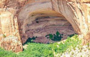 At Navajo National Monument, a trail leads to the Betatakin Overlook and provides an excellent view into the Betatakin dwellings set in a deep alcove