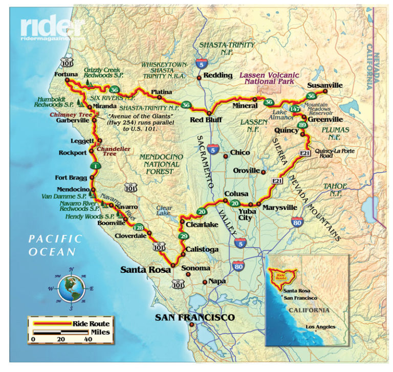 Twisty Roads and Redwoods in Northern California | Rider Magazine