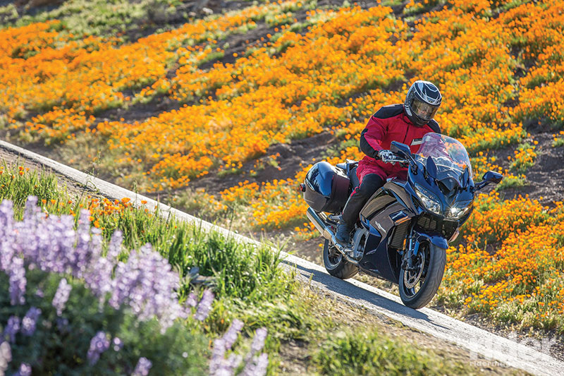 2016 Yamaha FJR1300ES, California poppies