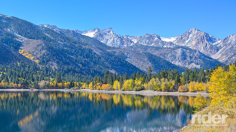 Colorful fall trees displaying their beauty around Twin Lakes.