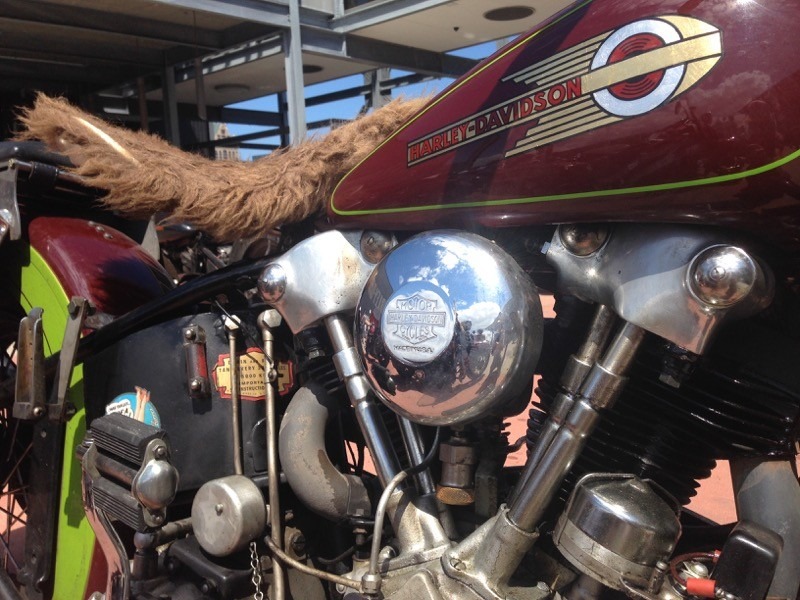 You can tell this hairy Knuck gets ridden—a lot