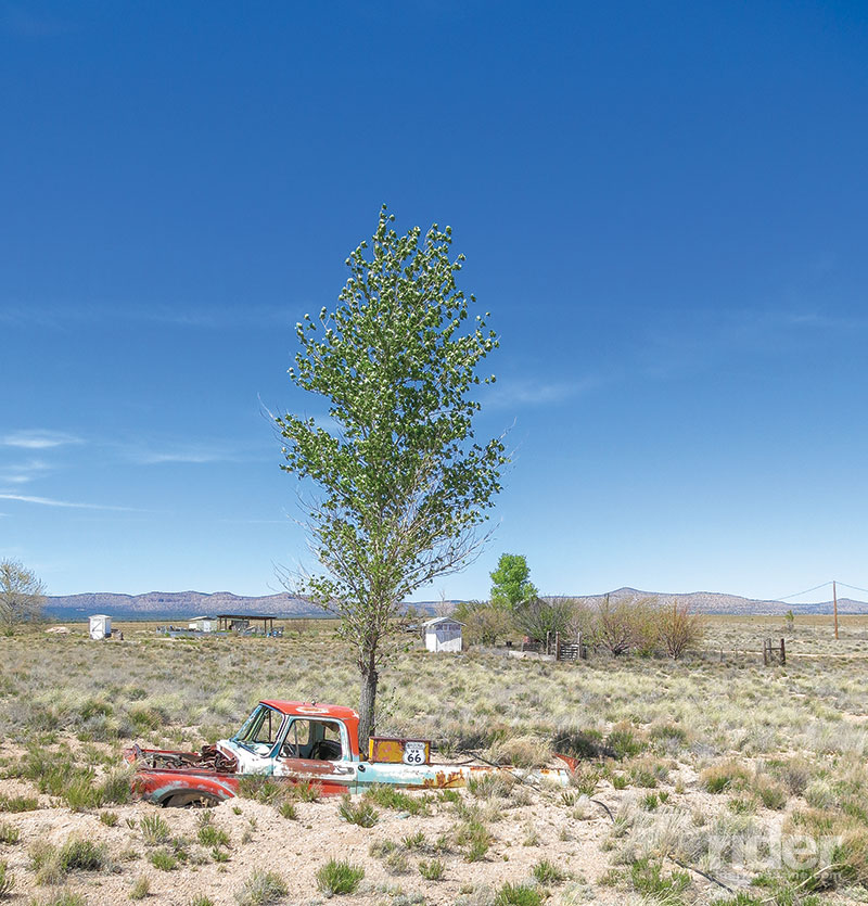 If you leave your pickup truck parked too long in the Arizona desert you don't get a ticket ... but you may have a tree growing out of the bed.