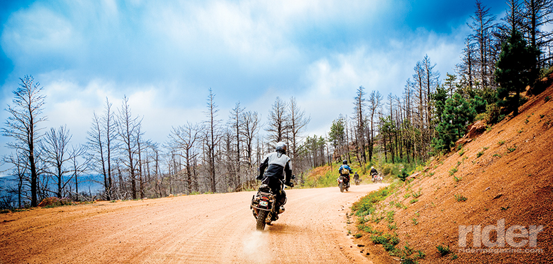With our adventure bikes, we rode a good many miles on dirt roads; here we are in the Rampart Range, which suffered a massive fire several years ago.