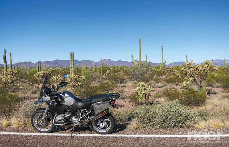 The farther south you ride in Arizona, the more diverse the palette of cacti becomes.