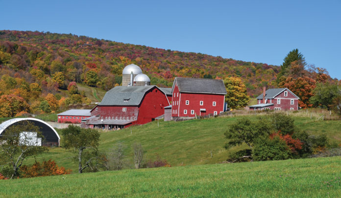 Country Roads, Country Bridges: A Ride Through Delaware and Sullivan ...