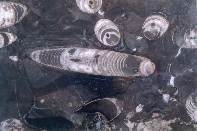 Journey to Where Life Began Touring Lake Champlain's Islands Rider