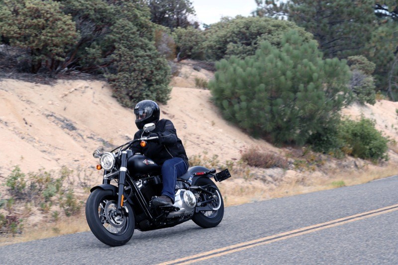 2018 Harley-Davidson FLSL Softail Slim