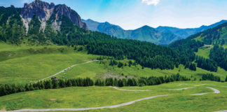 Edelweiss Alps Mystery Tour