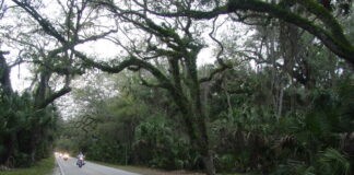 Ten Epic Roads Part 1