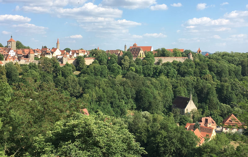Red roofs poke out of the lush green forest. (Rothenberg)