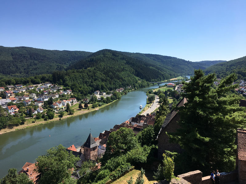 The view from the ruined castle at Hirschhorn, looking down the Neckar River valley.