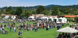The Quail 2018