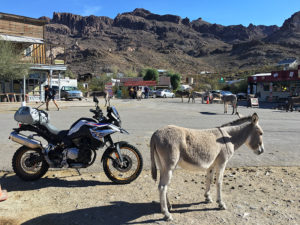 2019 BMW F 850 GS with a burro in Oatman