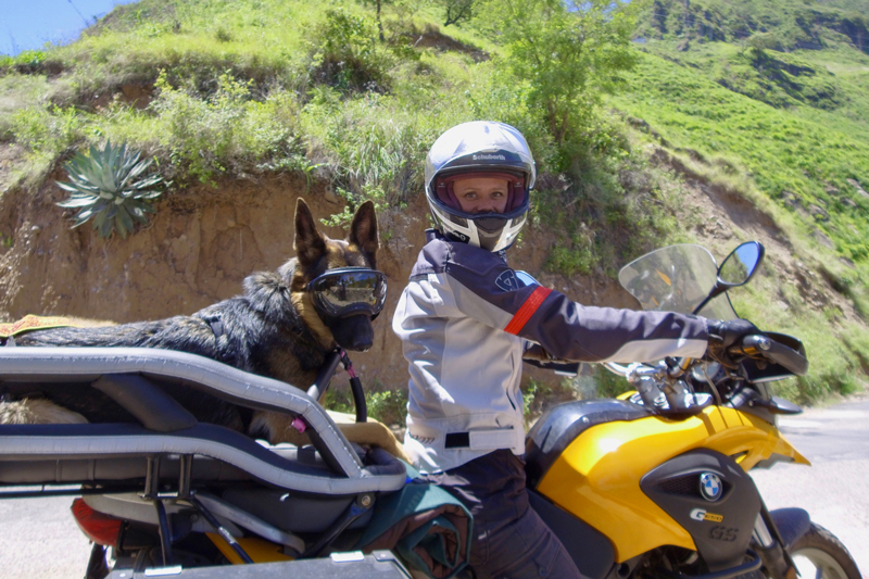 Riding motorcycles with your dog