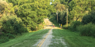 grass clippings on the road