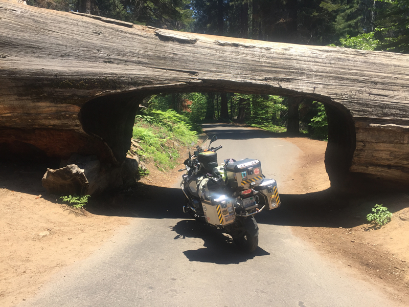 A little road impediment in Sequoia National Park--be sure to duck when riding through on a tall BMW R 1200 GSA!