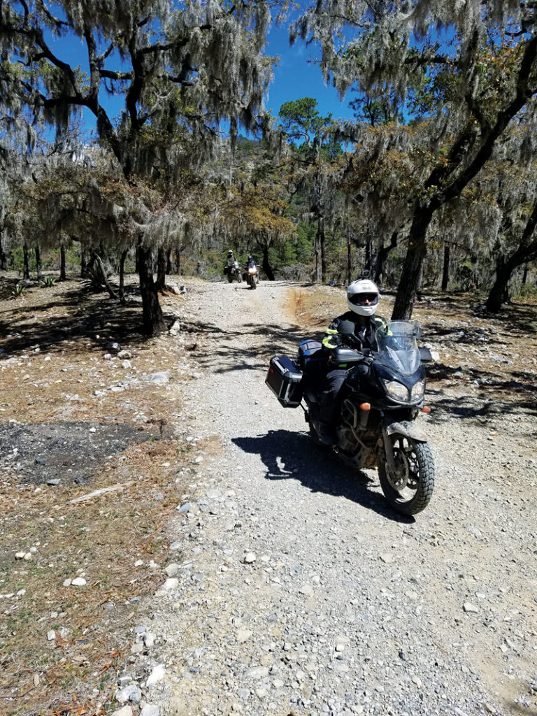 riding motorcycles in Mexico