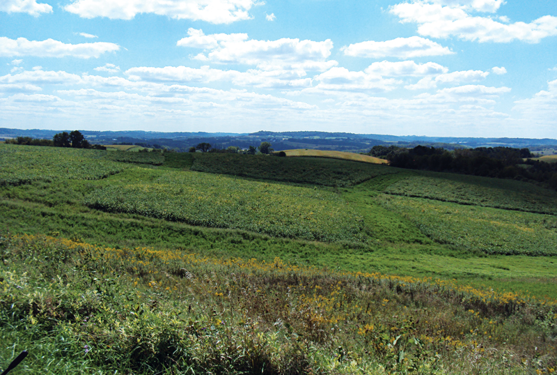 Iowa landscape