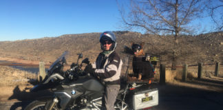 Horsetooth Reservoir BMW motorcycle dog carrier