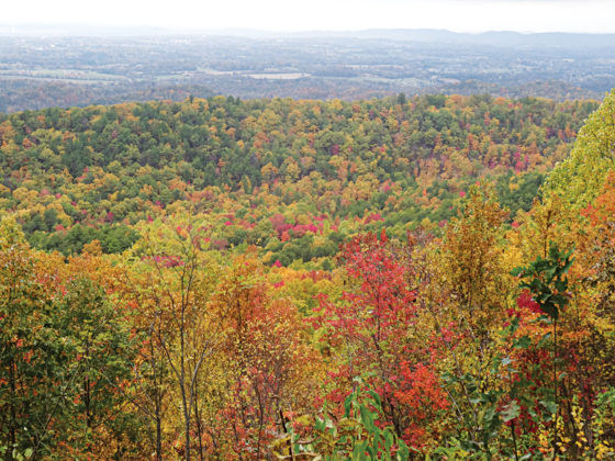 Riding 'Shine Country: The Tail of the Dragon and North Carolina's ...