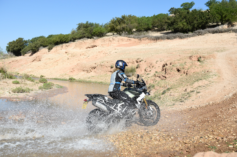 Tiger 900 Rally Pro 