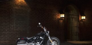 softail standard, harley-davidson