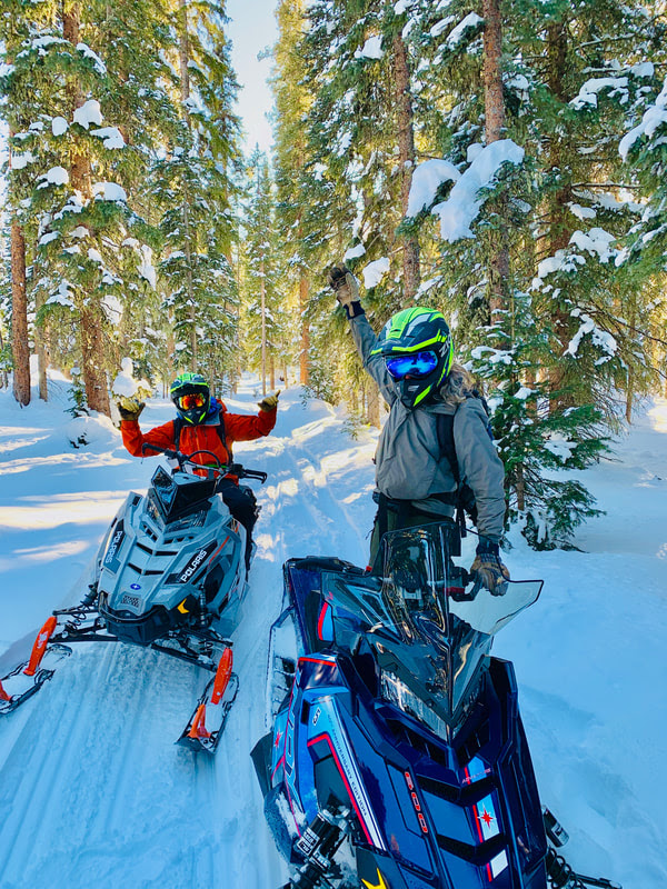Ride Wild snowmobiles