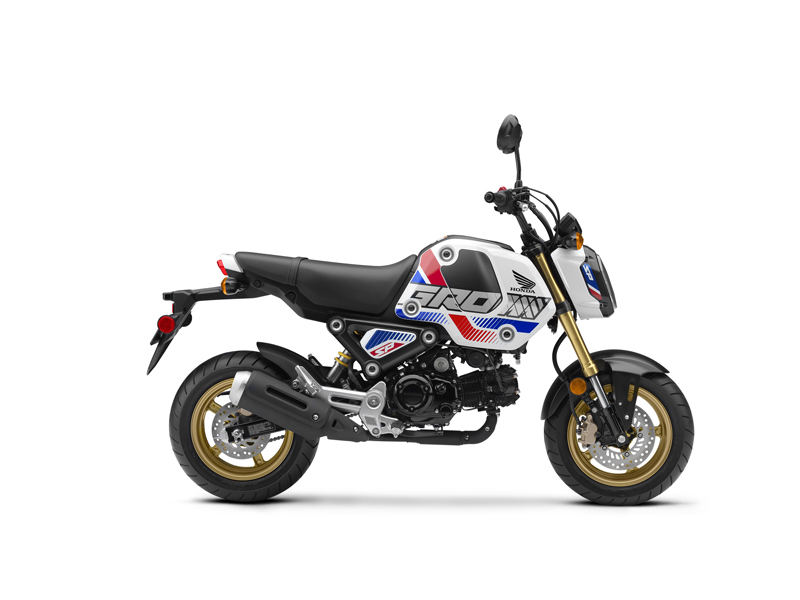 2022 Honda Grom | First Look Review - myMOTORss
