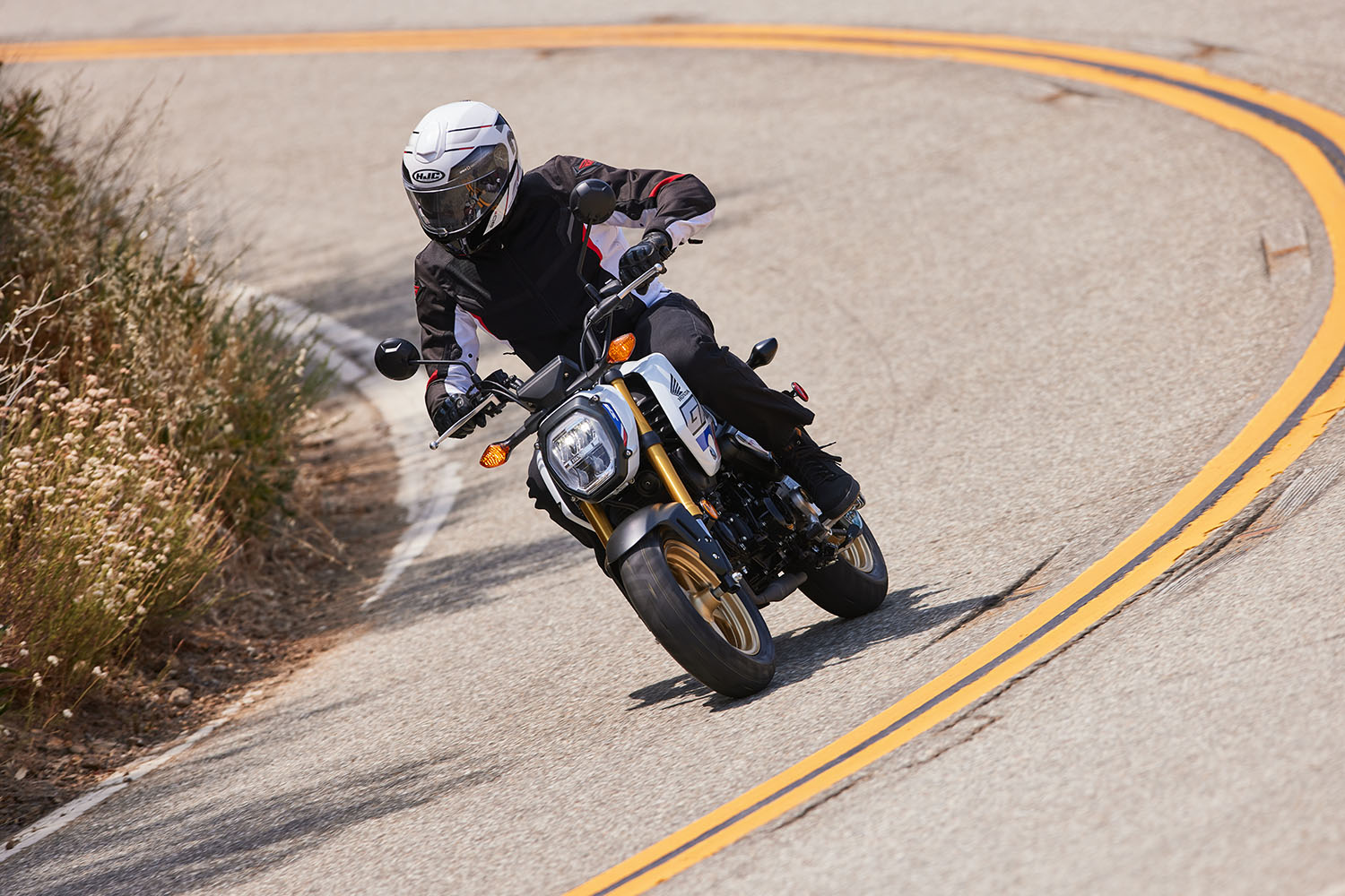 2022 Honda Grom First Ride Review Rider Magazine