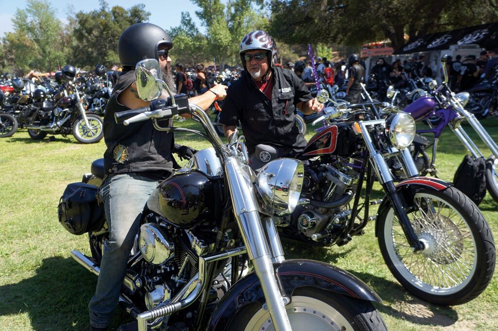 Motorcycles on grass parking at Born Free 12
