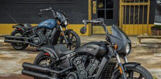 Indian Scout Rogue