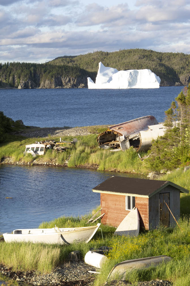 Iceberg in Smith's Harbor