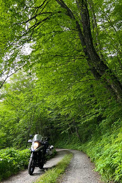 Cross-Country Motorcycle Trip Thad Wolff Suzuki V-Strom 650XT Great Smoky Mountains