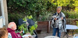 Postcards from the Road 11 C. Jane Taylor Richmond Reading