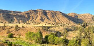 Postcards from the Road 13 C. Jane Taylor John Day Recreation Area