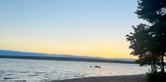 Postcards from the Road #14, by C. Jane Taylor Ojibway Park