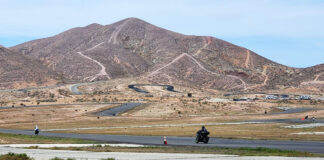 They Lost My Leathers Carly Becker Willow Springs