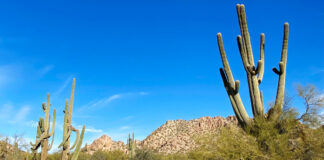 Casa Grande Arizona Motorcycle Ride