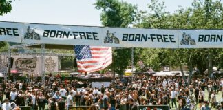 Born-Free 15 establishing shot