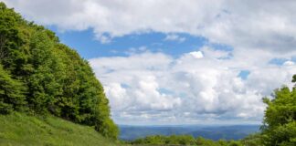 Pocahontas County West Virginia Motorcycle Ride